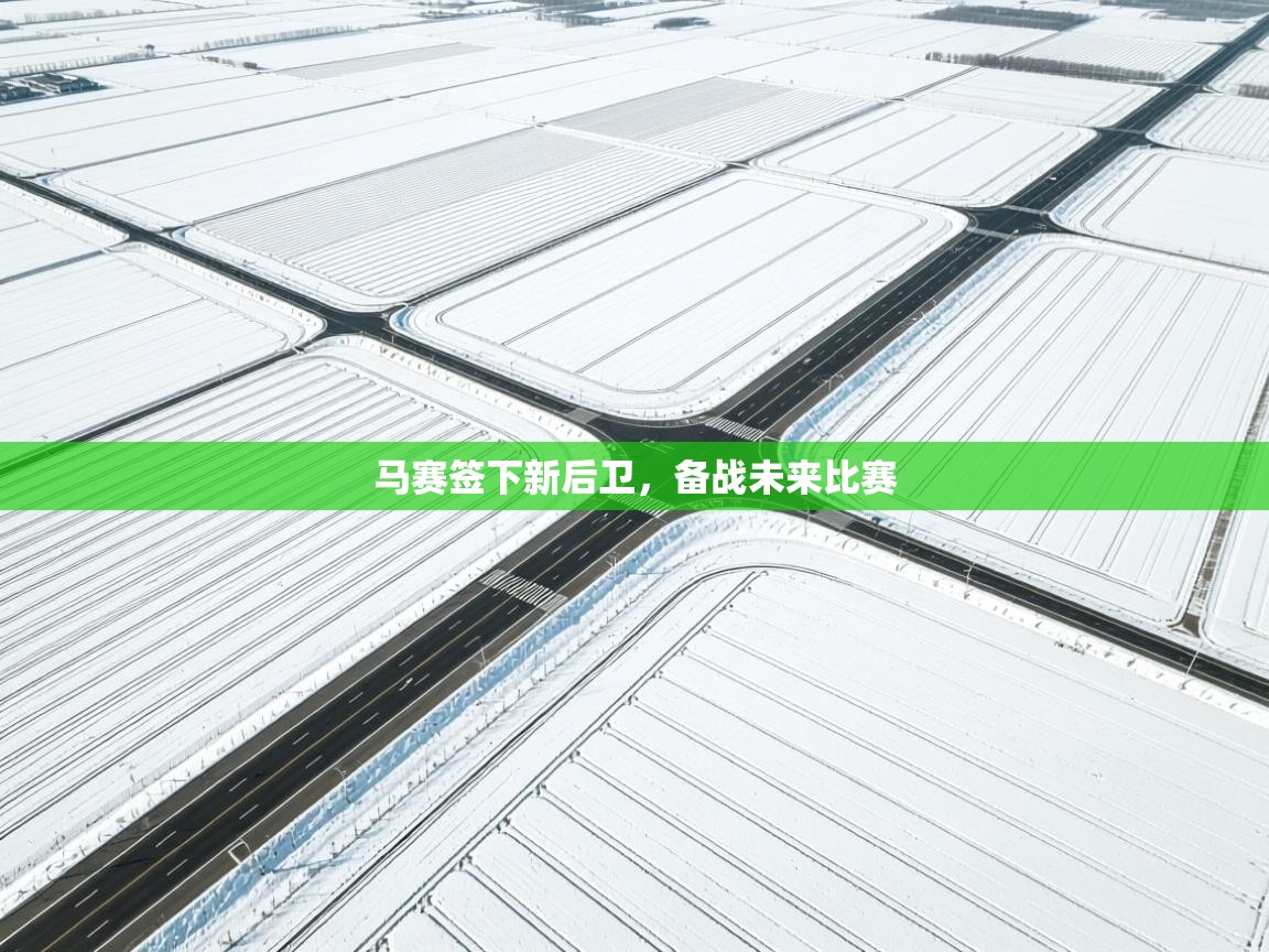 马赛签下新后卫,备战未来比赛 第1张