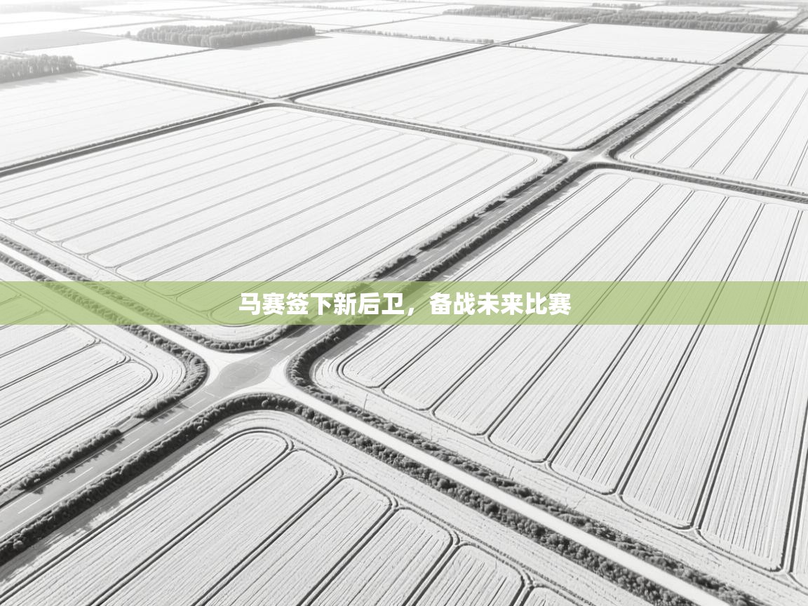 马赛签下新后卫,备战未来比赛 第2张